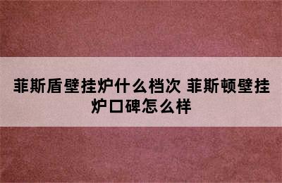 菲斯盾壁挂炉什么档次 菲斯顿壁挂炉口碑怎么样